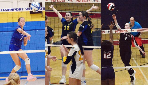 Volleyball live blog as Williamsport, North Hagerstown, Clear Spring play for state titles