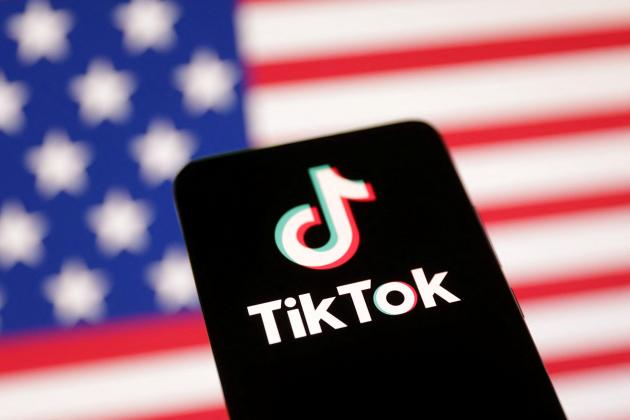 Is Elon Musk buying TikTok? What we know ahead of Jan. 19 ban