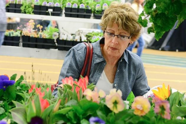 Hagerstown Community College's Flower and Garden Show set for March 15-16