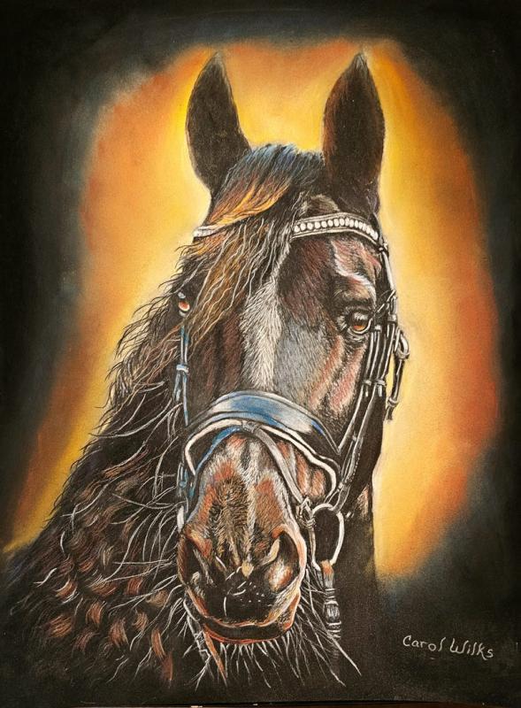 Explore Carol Wilks' animal art at Mansion House