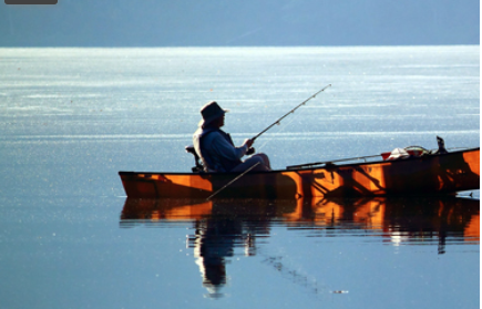 Marylanders: Help guide the state's fishing policies — apply now
