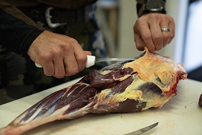 Nonprofits can now apply for Maryland's deer donation grants