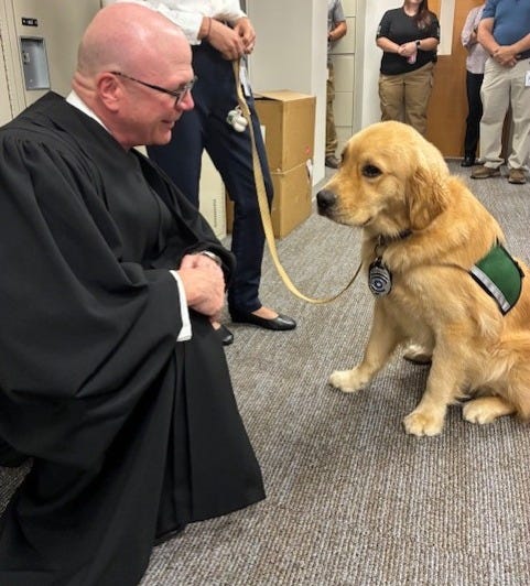Franklin County's newest court officer has four legs and a tail