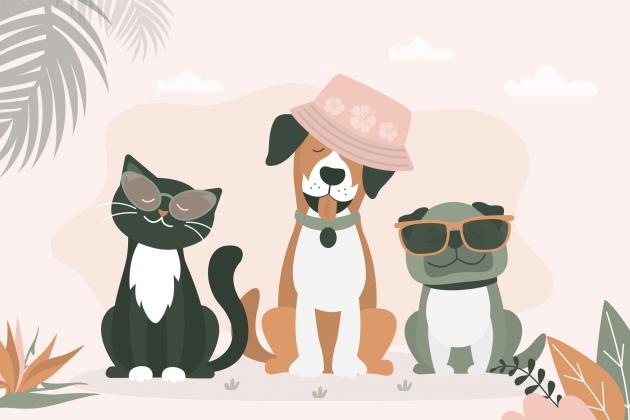 Free pet portraits, food trucks and more at Chambersburg's PetFest
