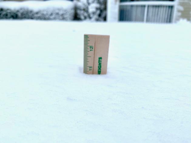 How much snow did your Maryland home get? Search totals by address