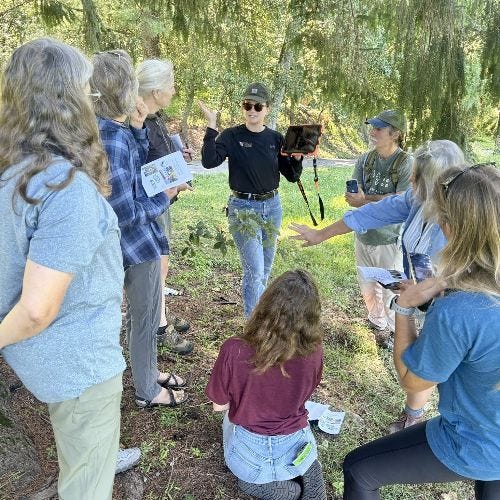 Workshops to teach native tree ID and invasive plant management